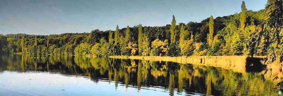 Forêt de Compiègne