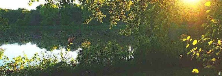 Poème de Jean de La Fontaine