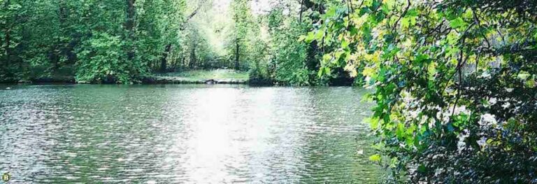 Poème de Sabine Sicaud